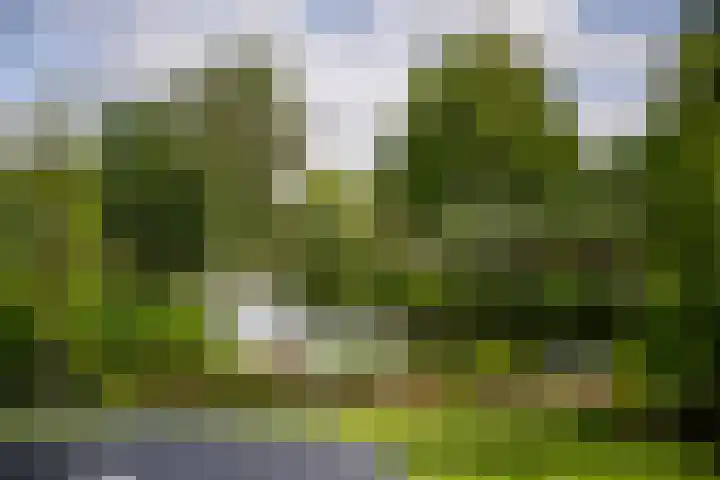 's-Gravenweg 145 Capelle aan den IJssel thumbnail 43
