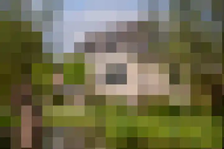 's-Gravenweg 145 Capelle aan den IJssel thumbnail 47