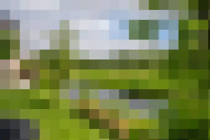 's-Gravenweg 145 Capelle aan den IJssel thumbnail 48