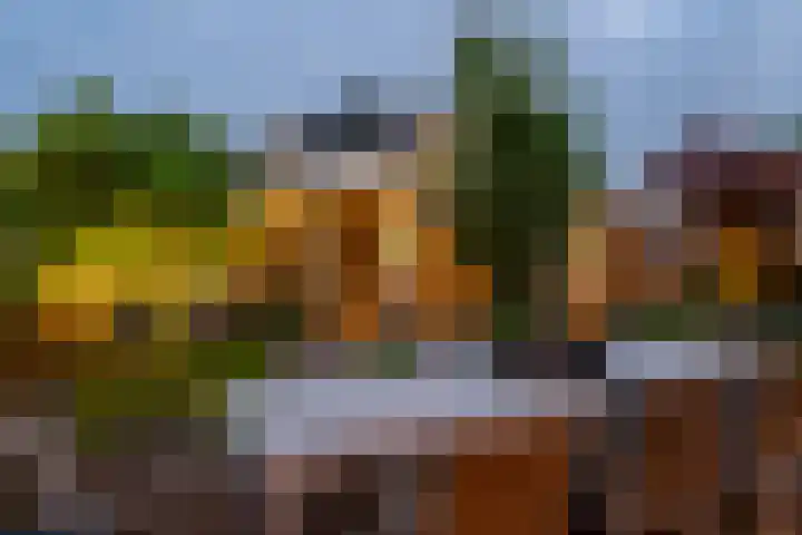 's-Gravenweg 145 Capelle aan den IJssel thumbnail 5