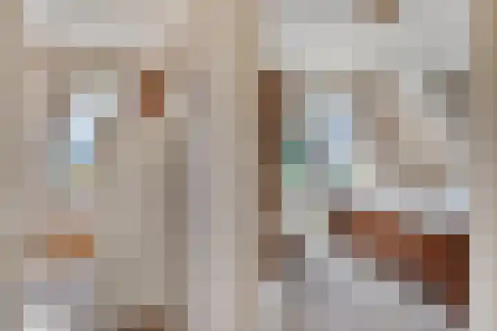 's-Gravenweg 147 Nieuwerkerk aan den IJssel thumbnail 15