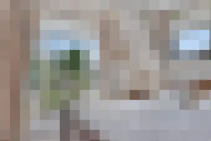 's-Gravenweg 147 Nieuwerkerk aan den IJssel thumbnail 17