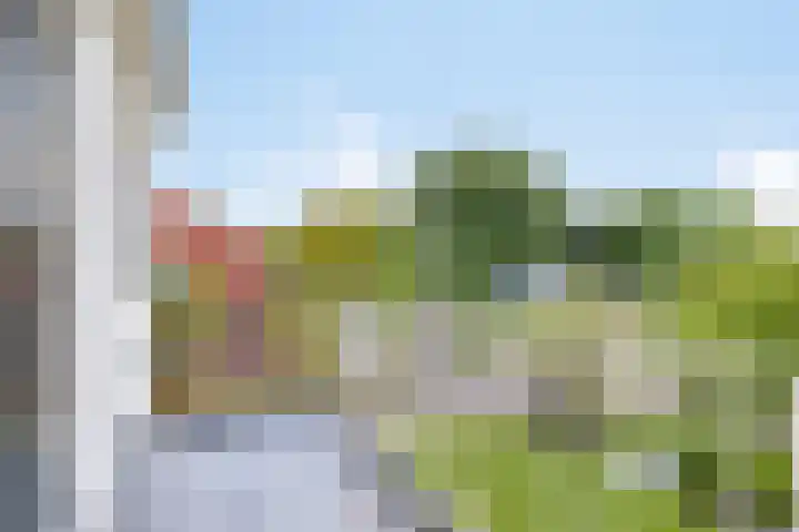 's-Gravenweg 147 Nieuwerkerk aan den IJssel thumbnail 18