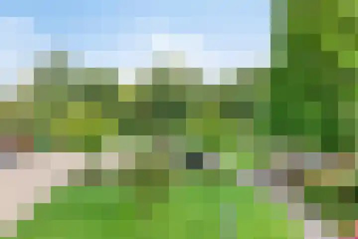 's-Gravenweg 147 Nieuwerkerk aan den IJssel thumbnail 24