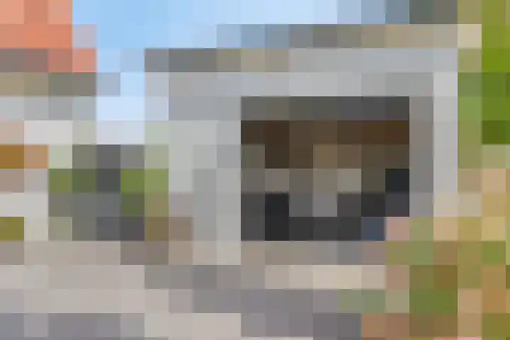 's-Gravenweg 147 Nieuwerkerk aan den IJssel thumbnail 30