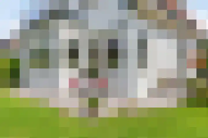 's-Gravenweg 147 Nieuwerkerk aan den IJssel thumbnail 32