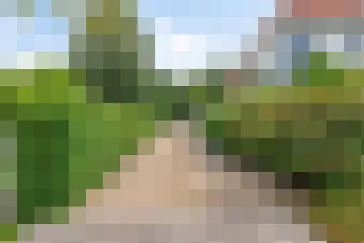 's-Gravenweg 147 Nieuwerkerk aan den IJssel thumbnail 33