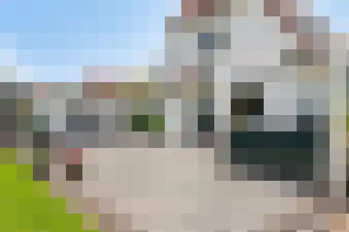 's-Gravenweg 147 Nieuwerkerk aan den IJssel thumbnail 37