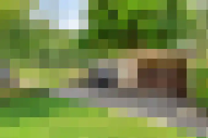 's-Gravenweg 147 Nieuwerkerk aan den IJssel thumbnail 39