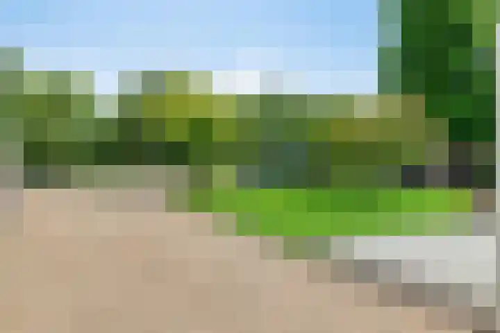 's-Gravenweg 147 Nieuwerkerk aan den IJssel thumbnail 4