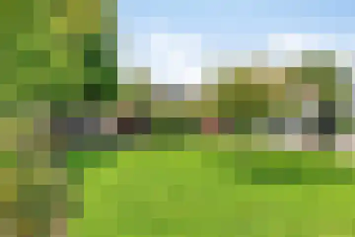 's-Gravenweg 147 Nieuwerkerk aan den IJssel thumbnail 40
