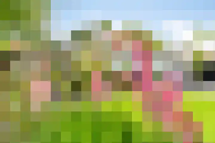 's-Gravenweg 147 Nieuwerkerk aan den IJssel thumbnail 41