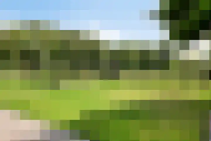 's-Gravenweg 147 Nieuwerkerk aan den IJssel thumbnail 42