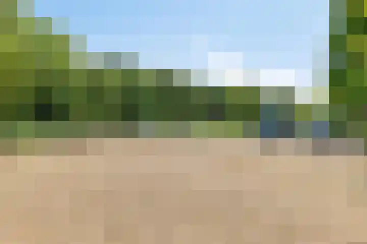 's-Gravenweg 147 Nieuwerkerk aan den IJssel thumbnail 43