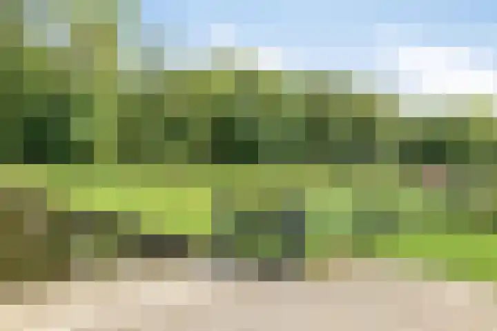 's-Gravenweg 147 Nieuwerkerk aan den IJssel thumbnail 47