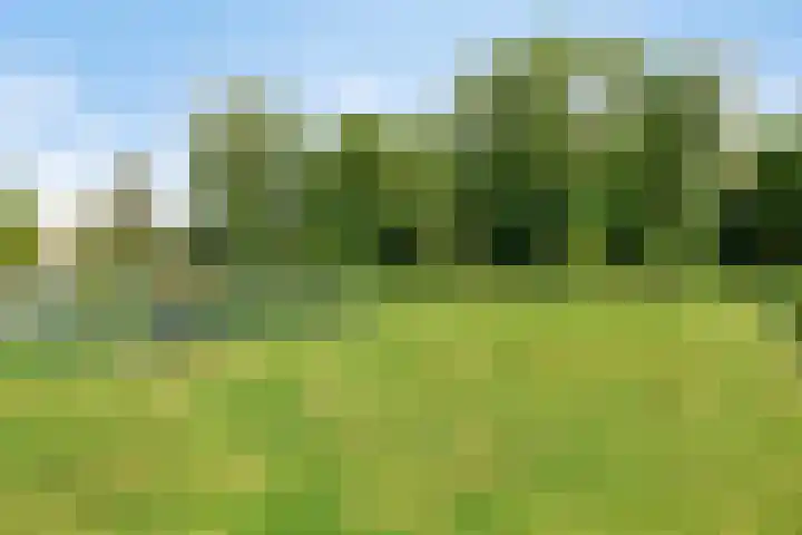 's-Gravenweg 147 Nieuwerkerk aan den IJssel thumbnail 48