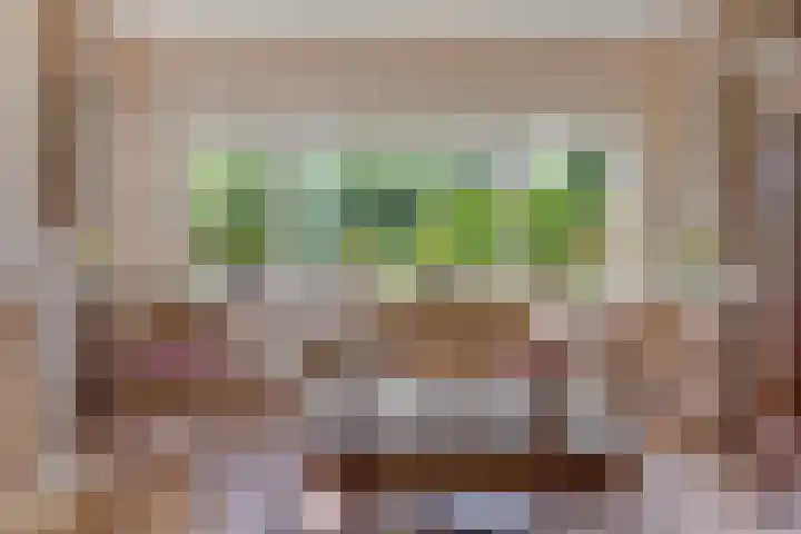 's-Gravenweg 147 Nieuwerkerk aan den IJssel thumbnail 7