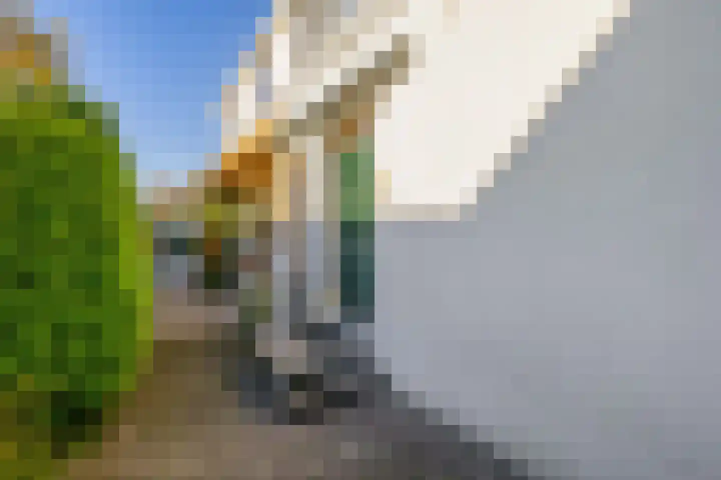's-Gravenweg 160 Nieuwerkerk aan den IJssel thumbnail 13