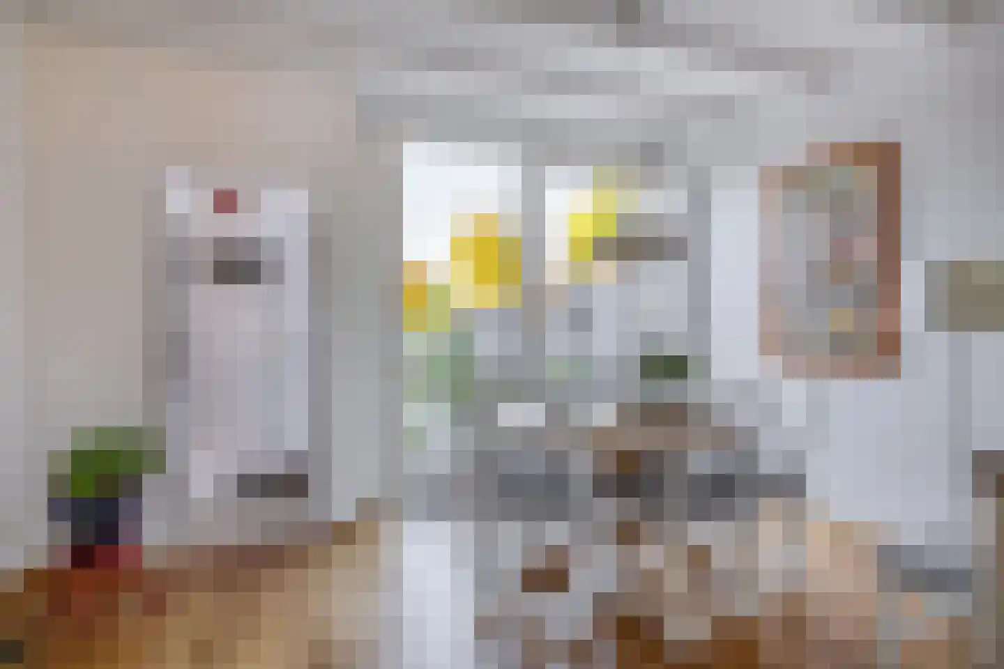 's-Gravenweg 160 Nieuwerkerk aan den IJssel thumbnail 25