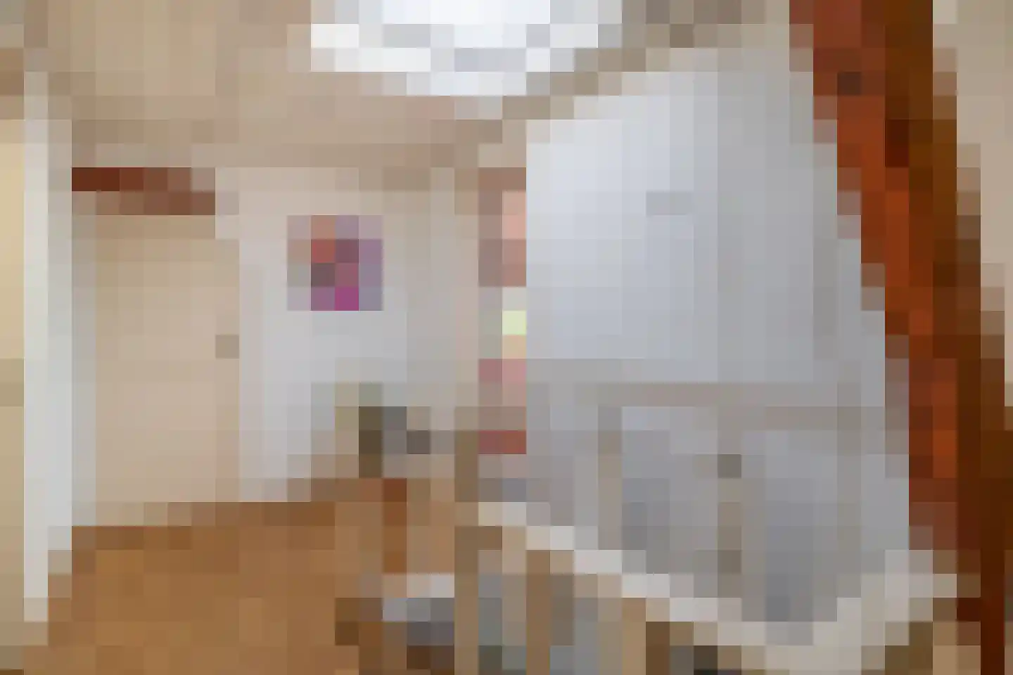 's-Gravenweg 160 Nieuwerkerk aan den IJssel thumbnail 33