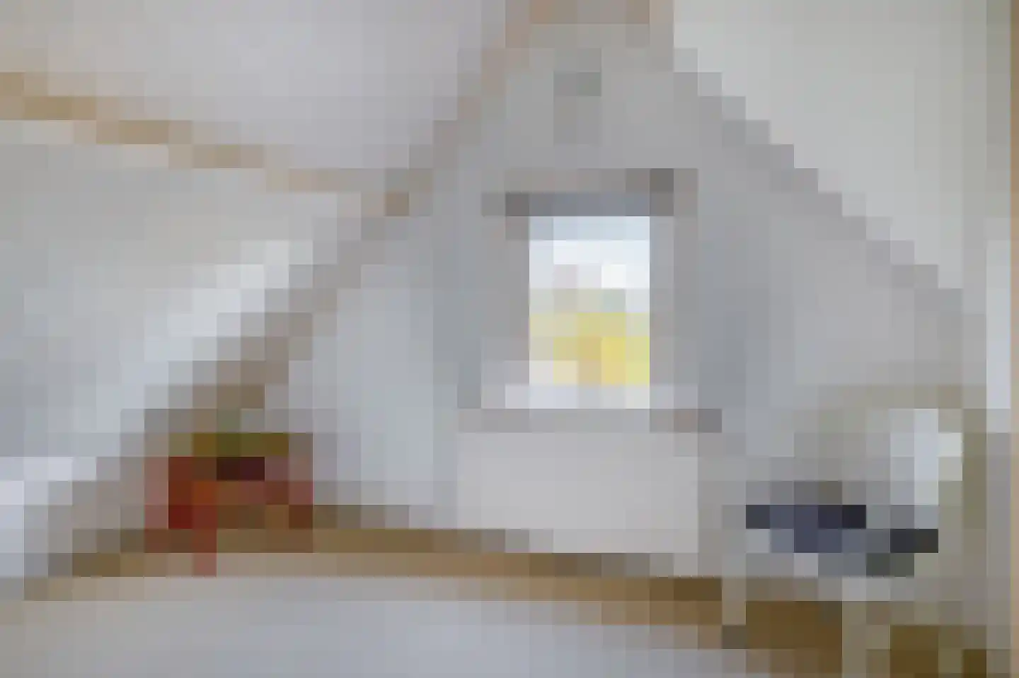 's-Gravenweg 160 Nieuwerkerk aan den IJssel thumbnail 41