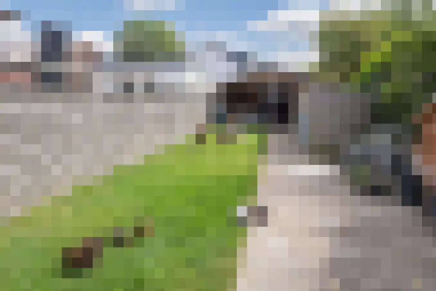's-Gravenweg 165 Nieuwerkerk aan den IJssel thumbnail 35