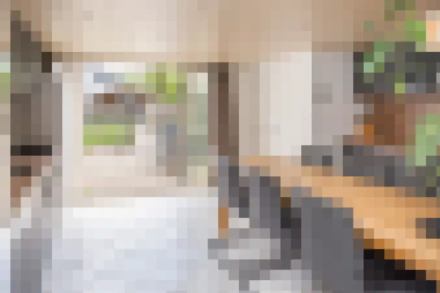 's-Gravenweg 165 Nieuwerkerk aan den IJssel thumbnail 6