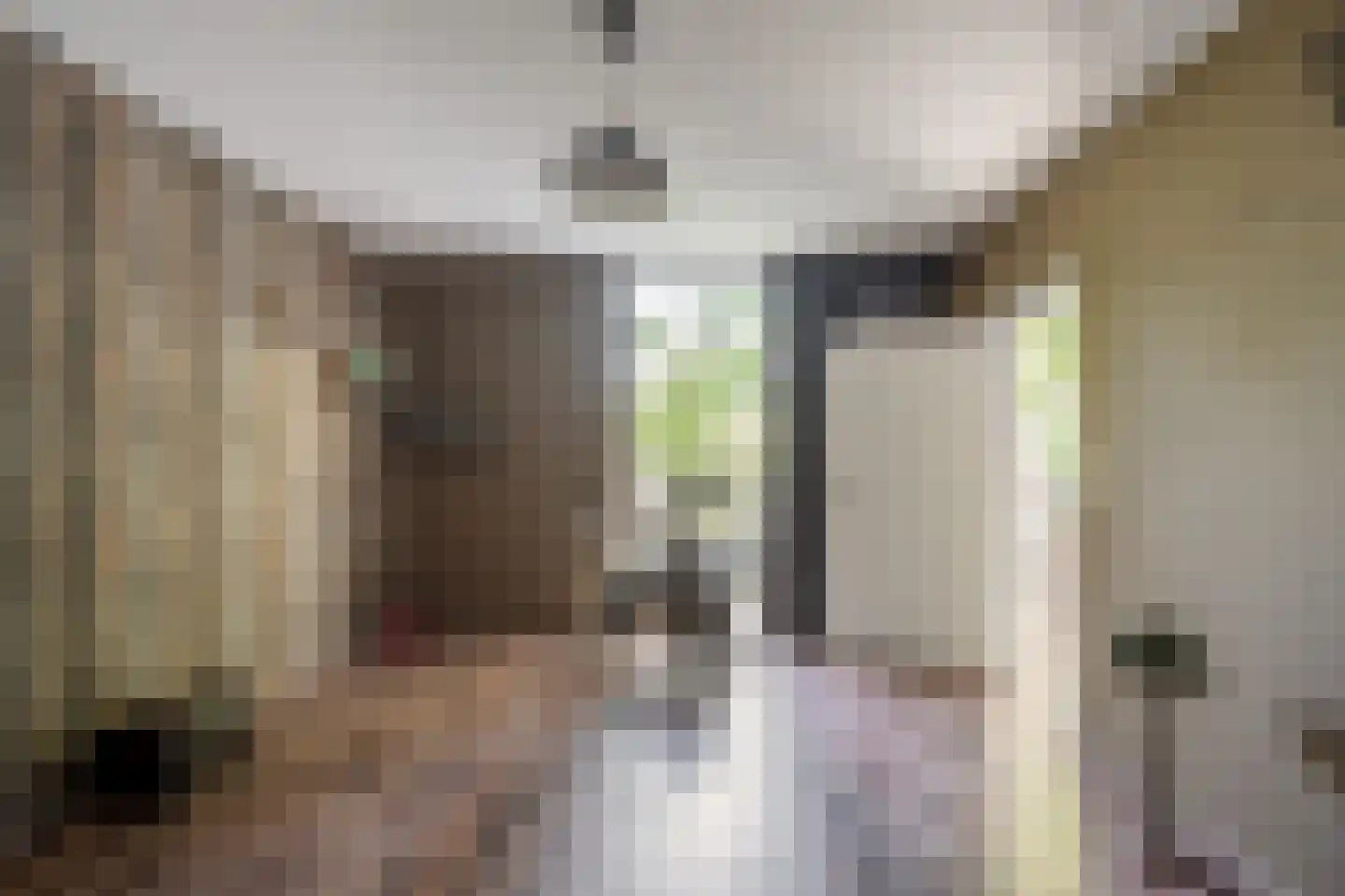 's-Gravenweg 171 Capelle aan den IJssel thumbnail 13