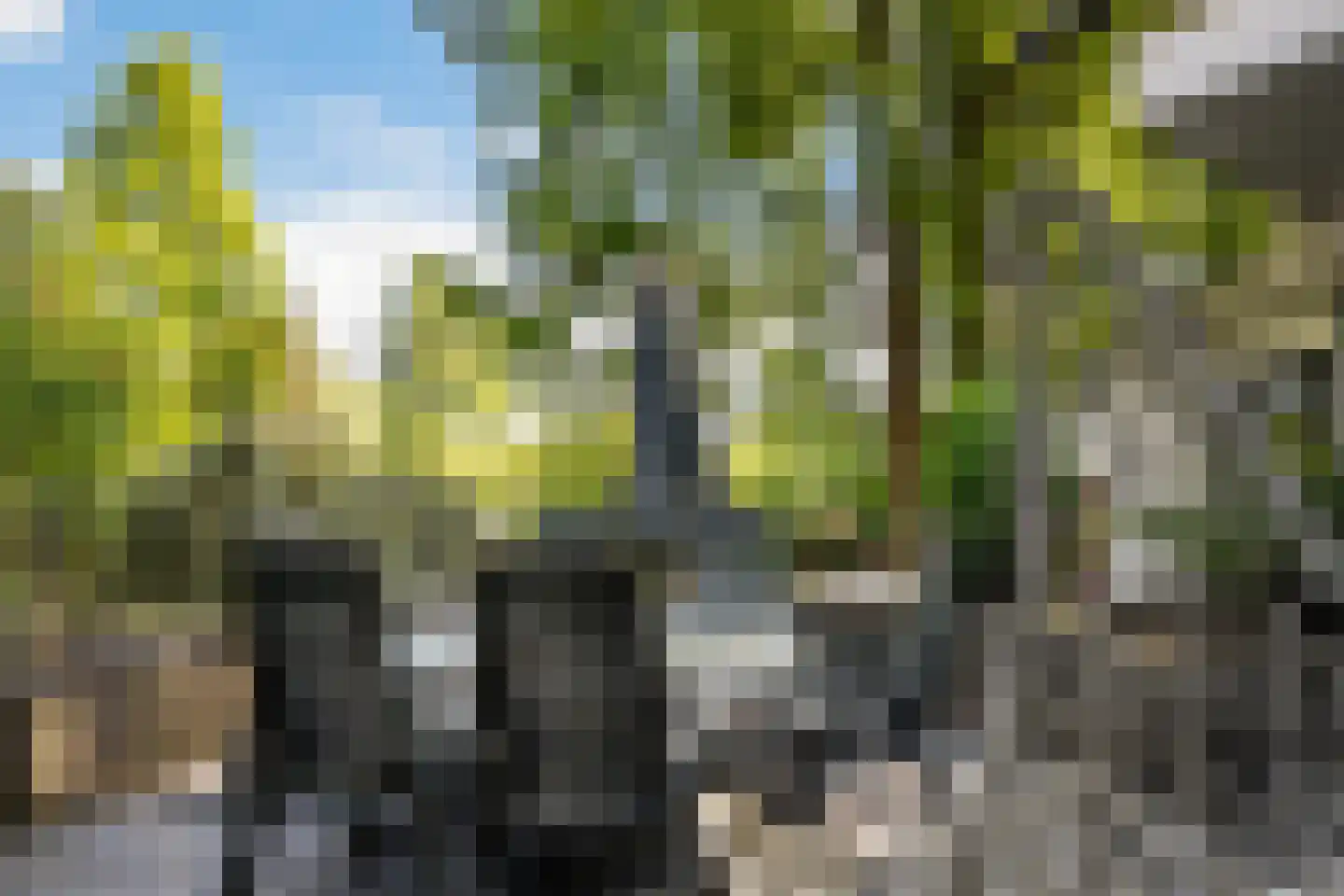 's-Gravenweg 171 Capelle aan den IJssel thumbnail 46