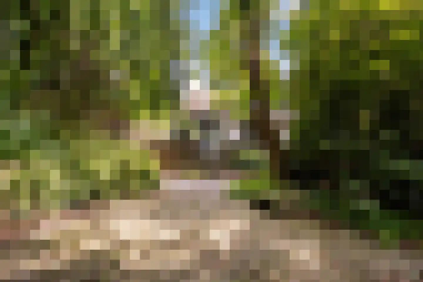 's-Gravenweg 171 Capelle aan den IJssel thumbnail 47
