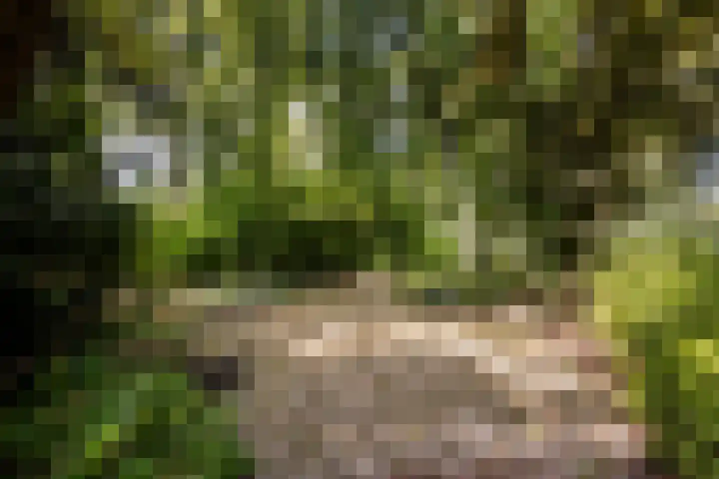 's-Gravenweg 171 Capelle aan den IJssel thumbnail 48
