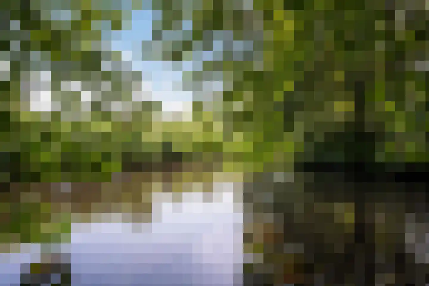 's-Gravenweg 171 Capelle aan den IJssel thumbnail 53