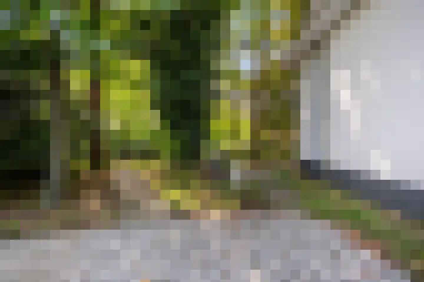 's-Gravenweg 171 Capelle aan den IJssel thumbnail 54