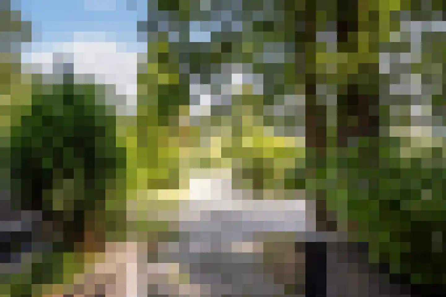 's-Gravenweg 171 Capelle aan den IJssel thumbnail 56