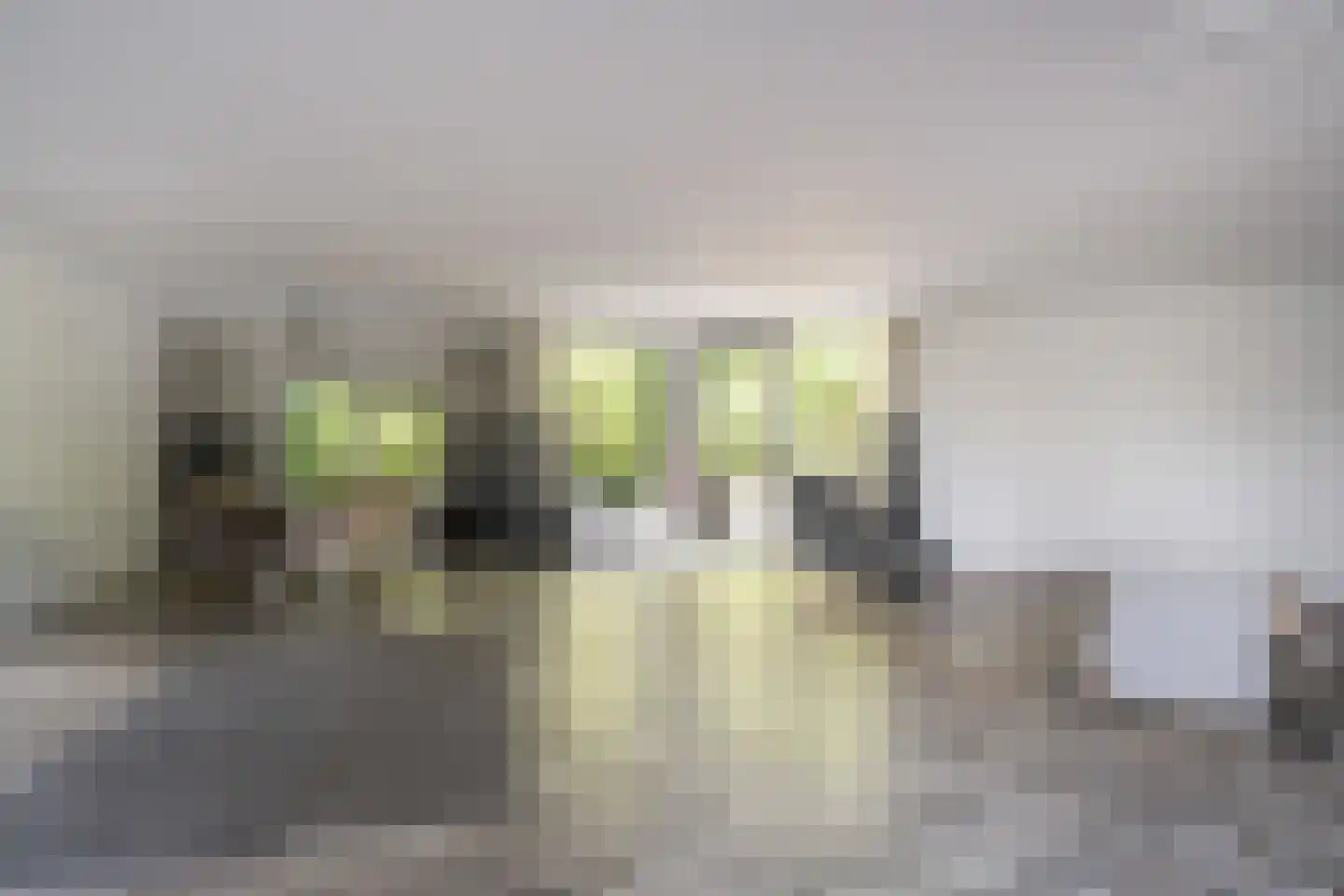 's-Gravenweg 171 Capelle aan den IJssel thumbnail 7