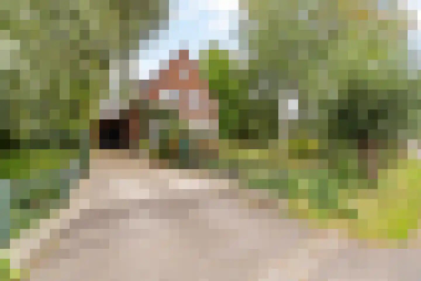 's-Gravenweg 190 Capelle aan den IJssel