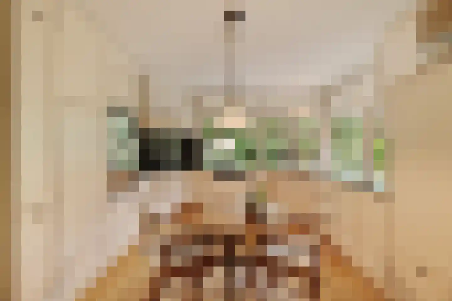 's-Gravenweg 190 Capelle aan den IJssel thumbnail 10