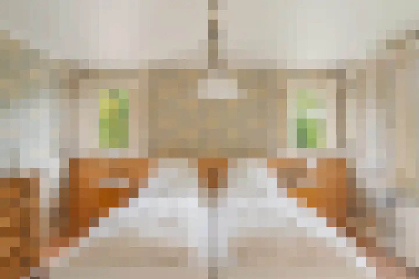 's-Gravenweg 190 Capelle aan den IJssel thumbnail 17