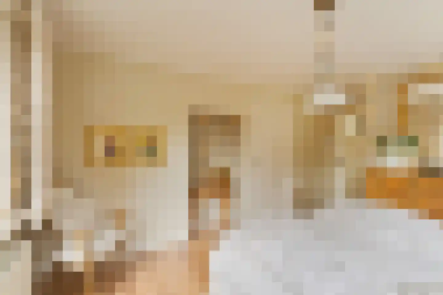 's-Gravenweg 190 Capelle aan den IJssel thumbnail 18
