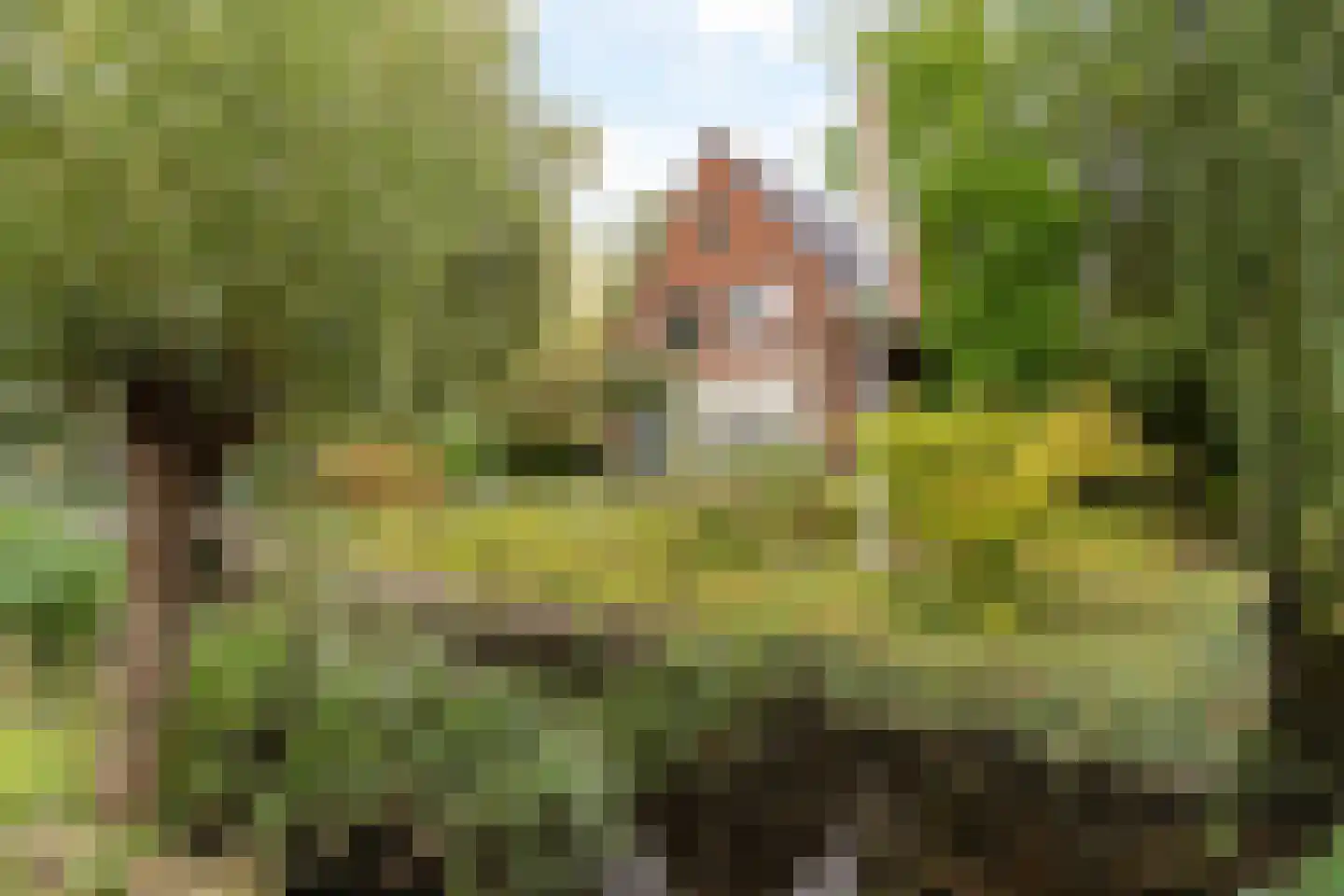 's-Gravenweg 190 Capelle aan den IJssel foto 3