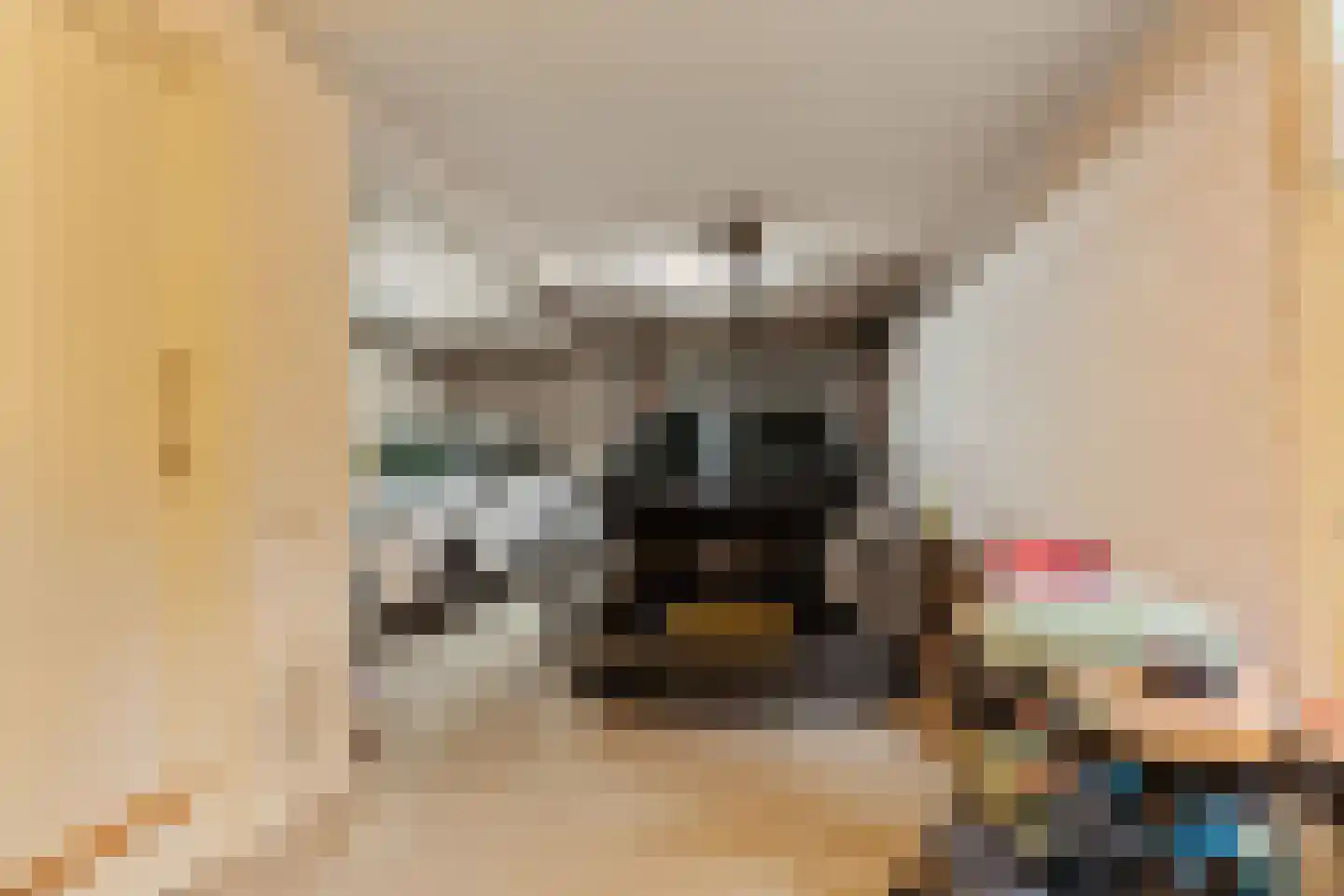 's-Gravenweg 190 Capelle aan den IJssel thumbnail 34