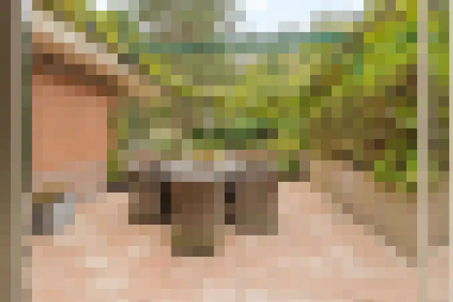 's-Gravenweg 190 Capelle aan den IJssel thumbnail 35