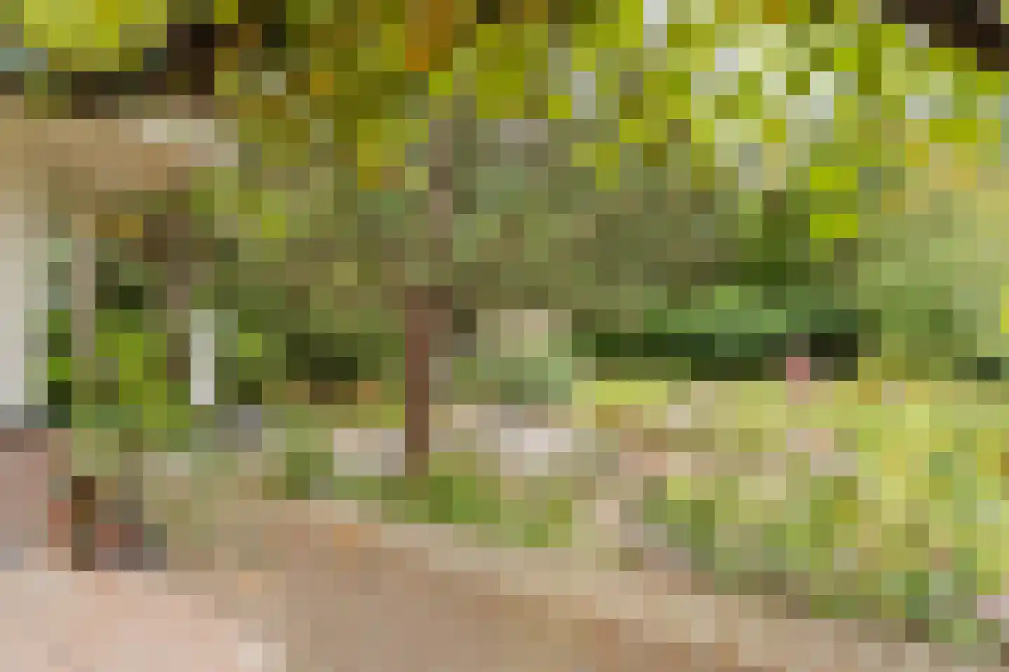 's-Gravenweg 190 Capelle aan den IJssel thumbnail 36