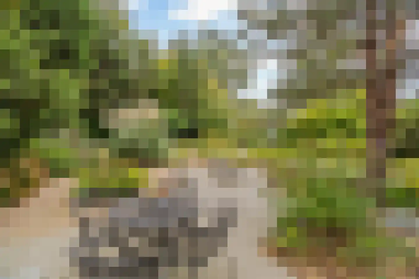 's-Gravenweg 190 Capelle aan den IJssel thumbnail 37