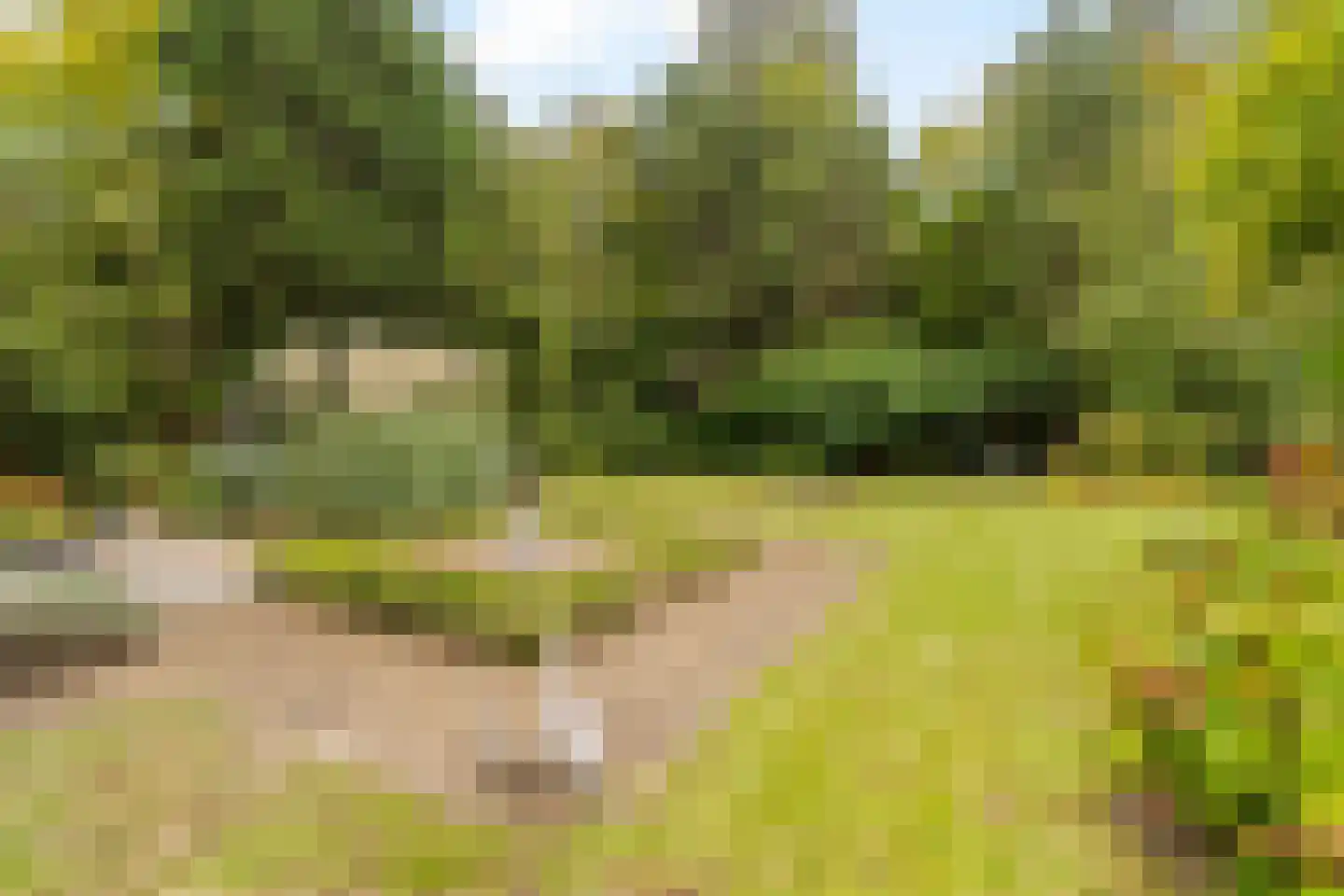 's-Gravenweg 190 Capelle aan den IJssel thumbnail 38