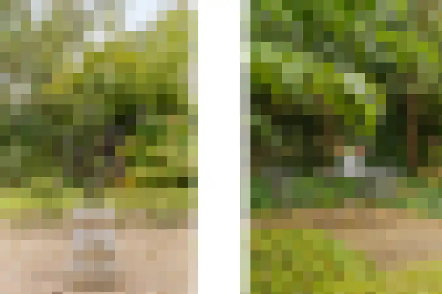 's-Gravenweg 190 Capelle aan den IJssel thumbnail 39