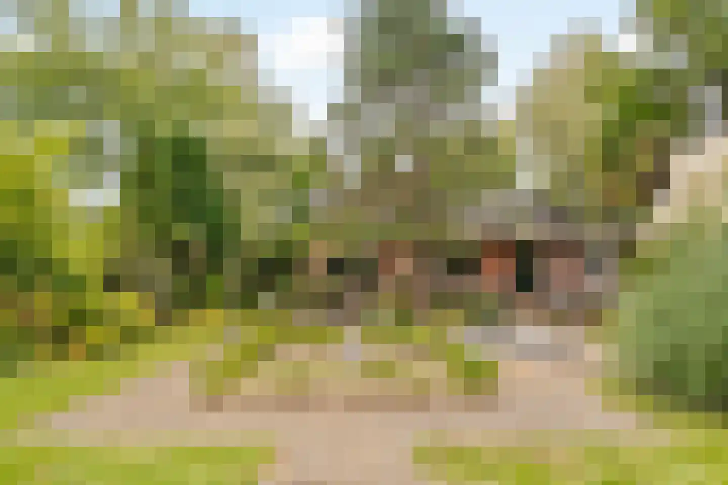 's-Gravenweg 190 Capelle aan den IJssel thumbnail 41