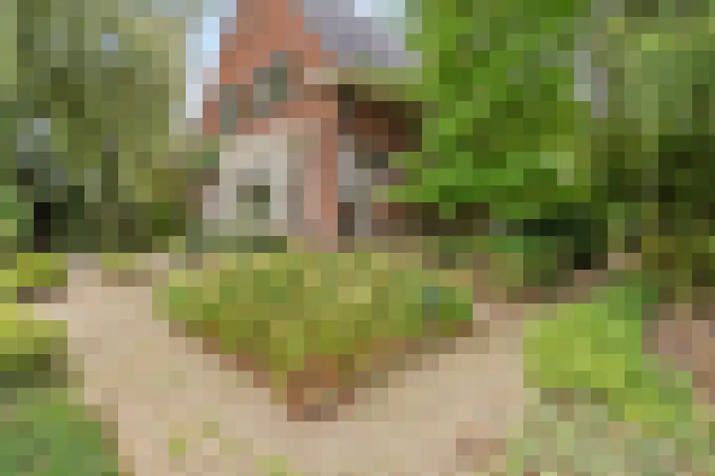 's-Gravenweg 190 Capelle aan den IJssel thumbnail 43