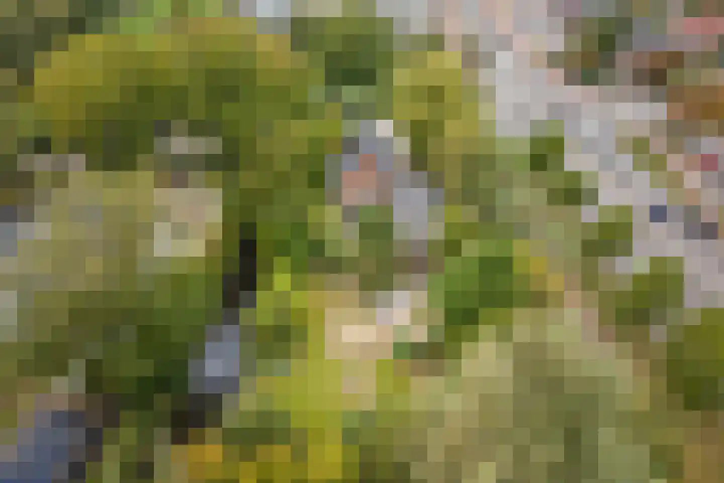 's-Gravenweg 190 Capelle aan den IJssel thumbnail 46