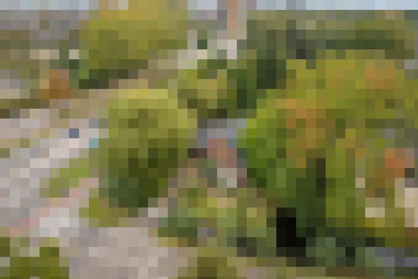 's-Gravenweg 190 Capelle aan den IJssel thumbnail 48
